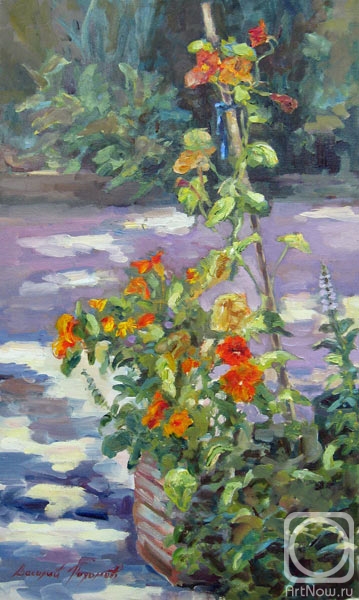 ������� ������ �� ������. ������� �������. ������ �����