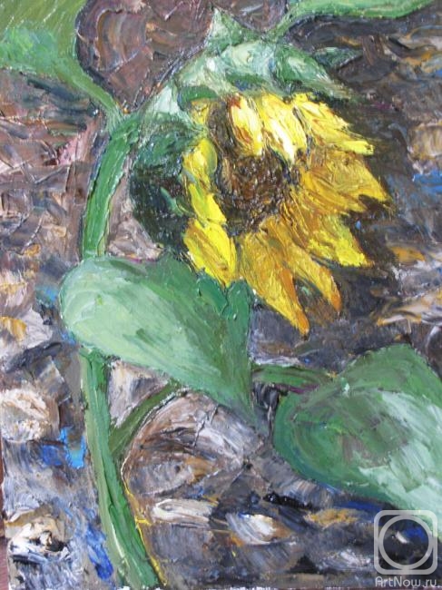 �������. �������� ��������. ���������