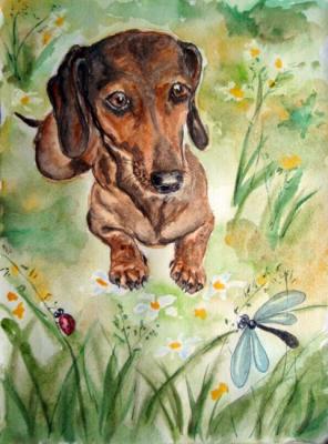 ������� ��������