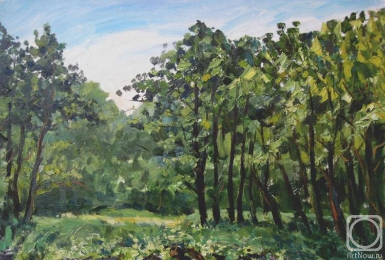 ������� ������ �� ������. ������ �����. ����