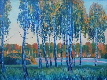 The birches in the evening. Krylova Irina