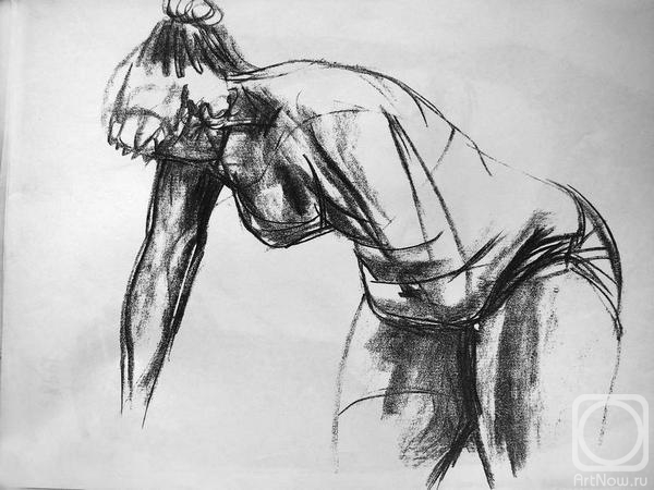 �������. ������ ������. 313