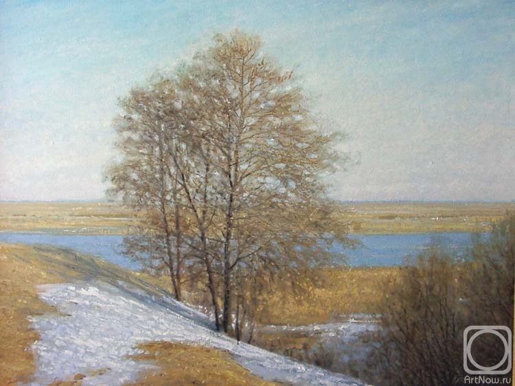 Gaiderov Michail. Spring