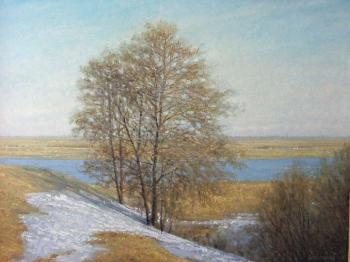 Spring. Gaiderov Michail