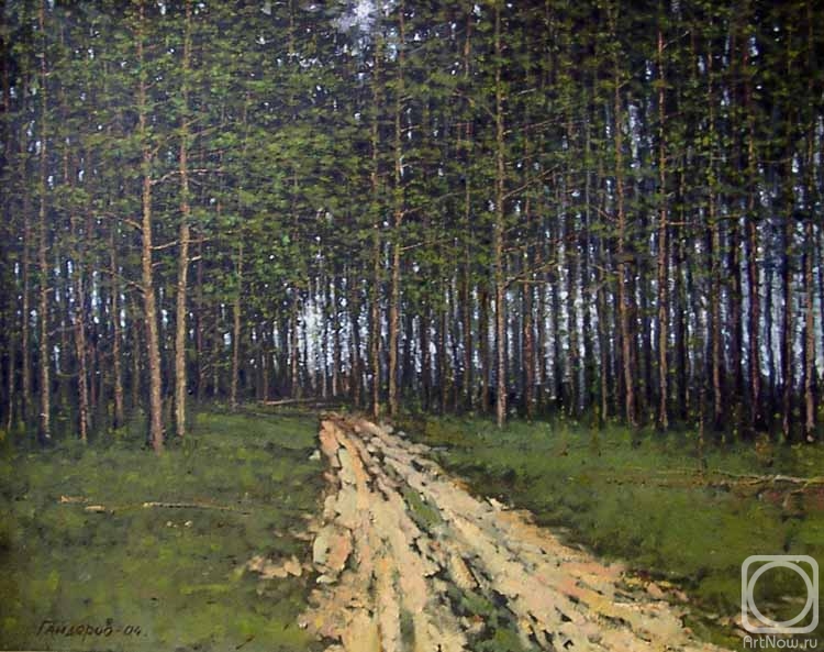 Gaiderov Michail. A road in a pine forest