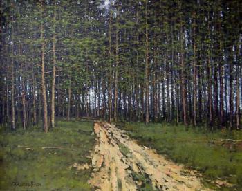 A road in a pine forest. Gaiderov Michail