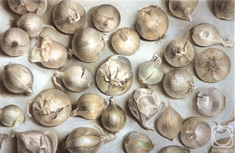 ������� ������ �� ������. ������ ϸ��. ���