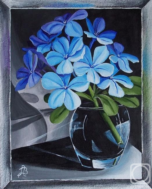 �������. ������� ���������. ����