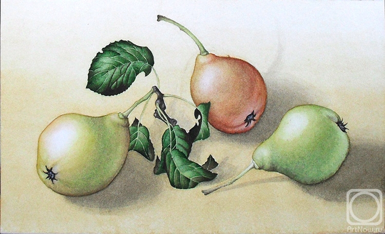 Proskuryakova Tatiana. Pears