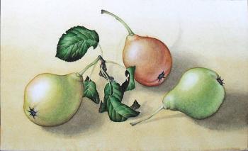 Pears. Proskuryakova Tatiana