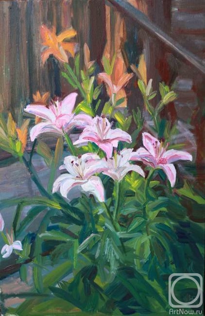 ������� ������ �� ������. ����� ����. ������� �����