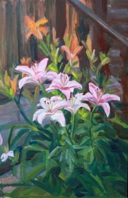 Pink lilies. Shenec Anna