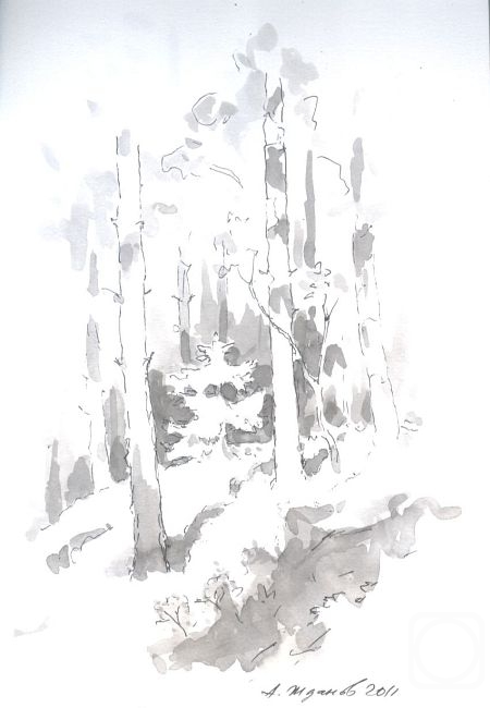 ������ ���������. ��������� ���