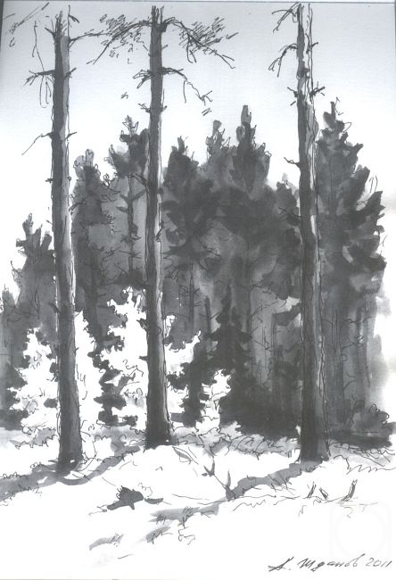 Zhdanov Alexander. In a pine grove