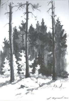 In a pine grove