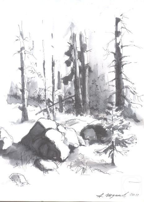 ������ ���������. � ����