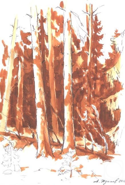 ������ ���������. � ����