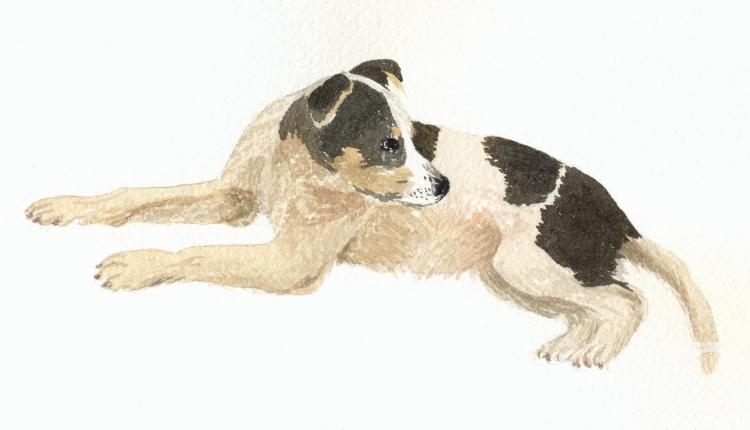 �������. ��������� ����. �������� �����