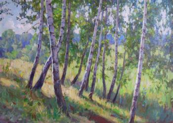 Birches. Taranov Viacheslav