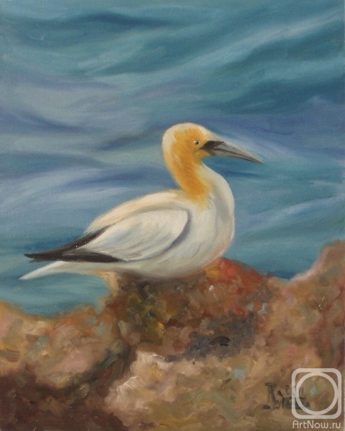 ������� ������ �� ������. �������� ������. �������� �����