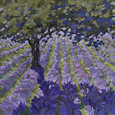 ����� �� ���������� ����. ���� �����