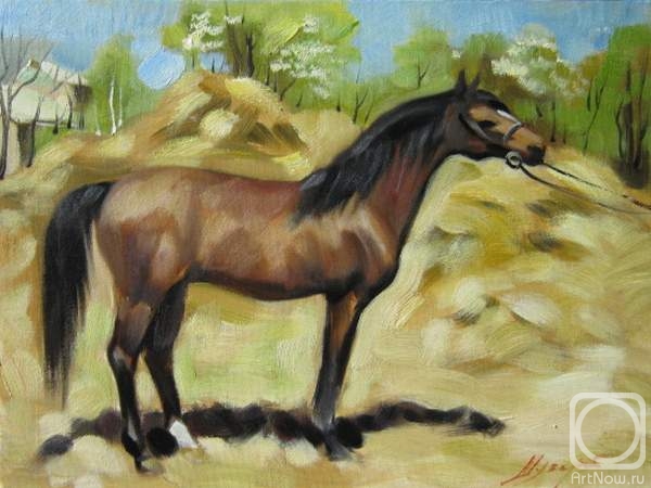 ������� ������ �� ������. ������ �������. ������. ������� ������ �����