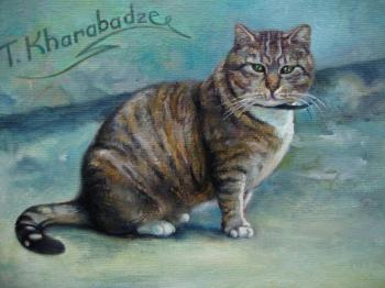 ������� ������