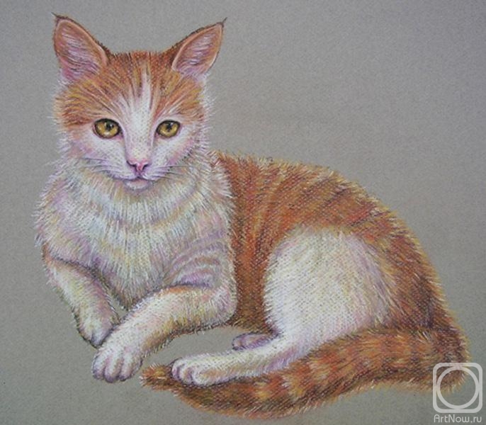 �������. ���� �������. ����