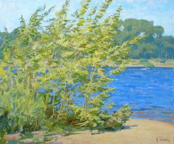 ������� �� �������� �������