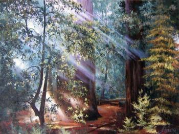 ������� �196 ����.jpg�