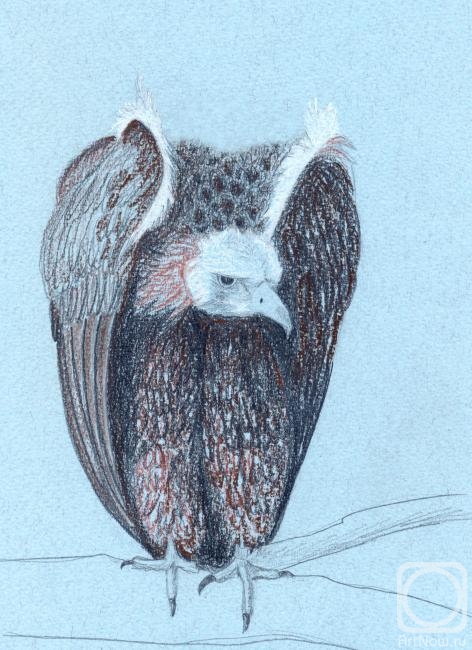 �������. ��������� ����. ����