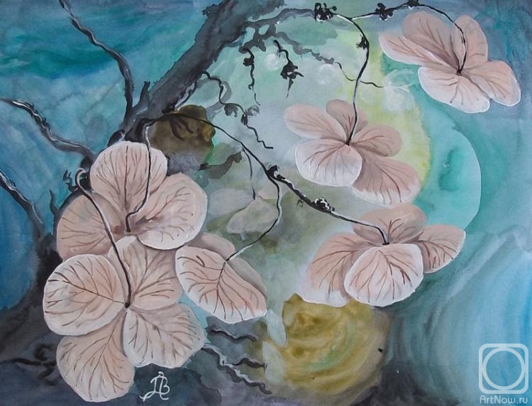 �������. ������� ���������. ��� �������