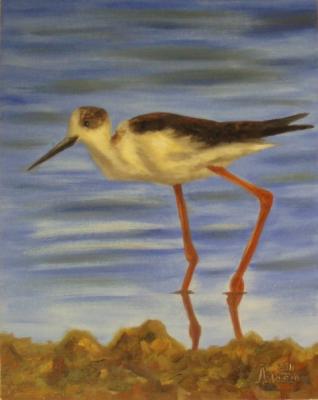 ����������. �������� ������