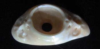 ���� ����� ��� �����