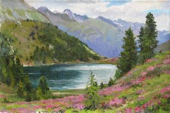 Mining lake. The Alps. Efremov Alexey