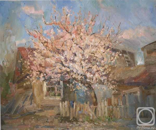 ������� ������ �� ������. �������� �����. �������� ������