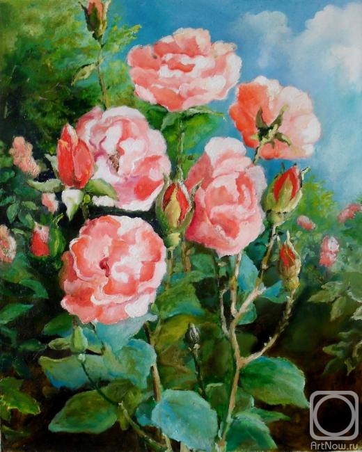 ������� ������ �� ������. ������� ��������. ������������ ����