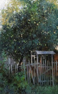 ��������. �������� �������