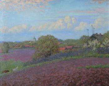 Spring arable land. Komarov Alexandr