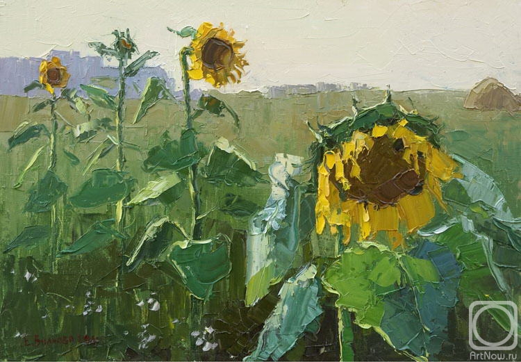 Vilkova Elena. Sunflowers