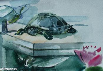 ������� ���������