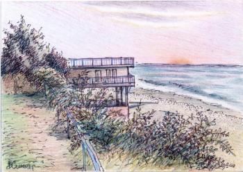 ������� �����������. ���������