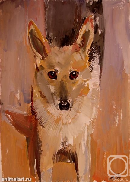 �������. �������� ������. ����