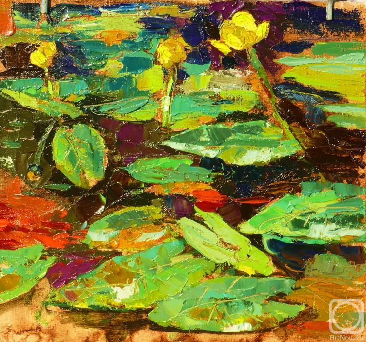 ������� ������ �� ������. ������� �������. ��������