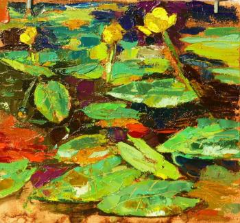 Water lilies