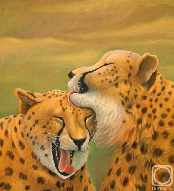 Dementiev Alexandr. Cheetahs caress each other