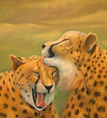 Cheetahs caress each other