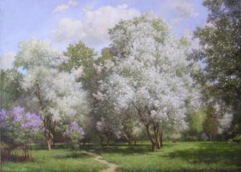 ������� �������. �������� ���