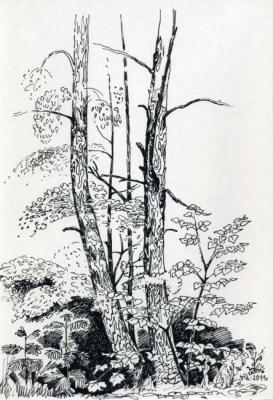 ������� ������ ����� �������. ������. ���������