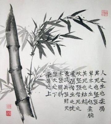 Bamboo 820. Mishukov Nikolay